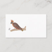 HOATZIN 名刺 (正面)