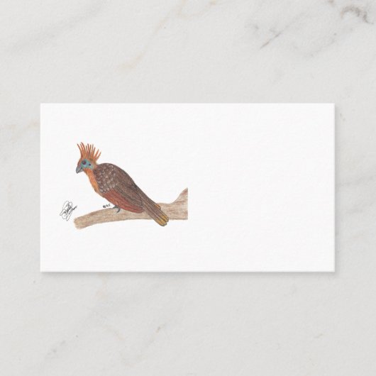 HOATZIN 名刺 (正面)