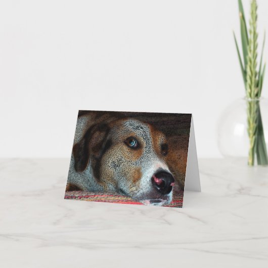 HOBIE Catahoula Cowdog カード (正面)