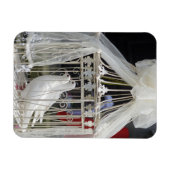 Hochzeits Tauben warten auf das Brautpaar マグネット (横)