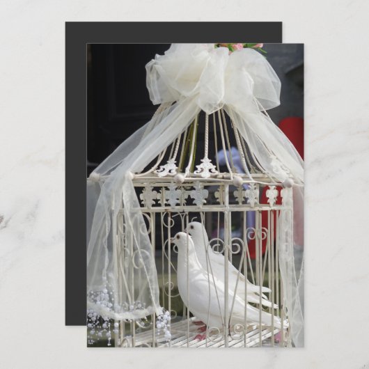 Hochzeits Tauben warten auf das Brautpaar 招待状 (正面/裏面)