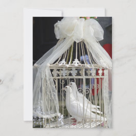 Hochzeits Tauben warten auf das Brautpaar 招待状