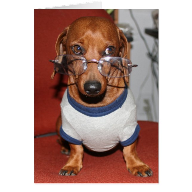 hoganカード (正面)