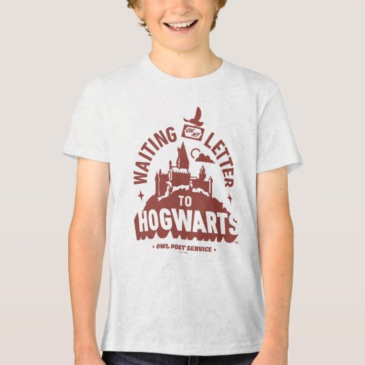 HOGWARTS™への手紙を待っている トライブレンドTシャツ (正面)
