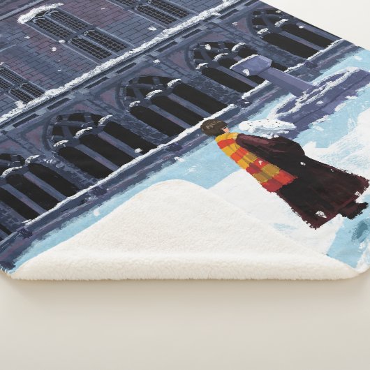 HOGWARTS™中庭のHARRY POTTER™ & Hedwig シェルパブランケット (3/4)