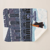 HOGWARTS™中庭のHARRY POTTER™ & Hedwig シェルパブランケット (正面(横))