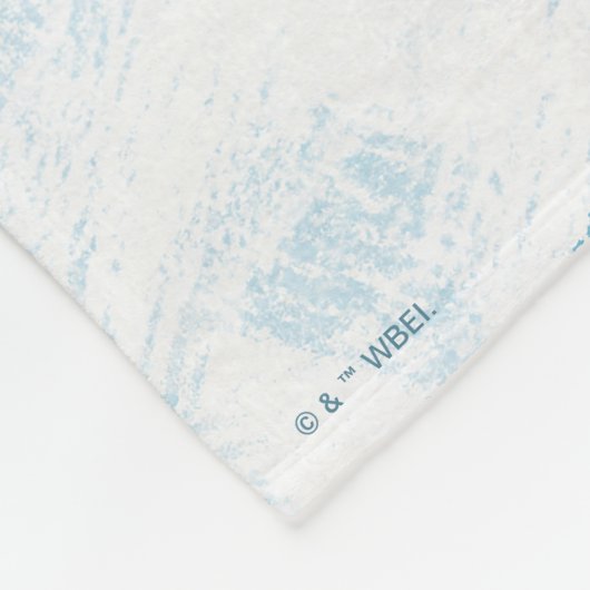 HOGWARTS™中庭のHARRY POTTER™ & Hedwig フリースブランケット (角)