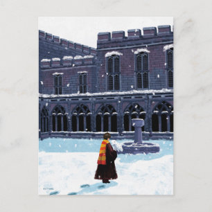 HOGWARTS™中庭のHARRY POTTER™ & Hedwig ポストカード
