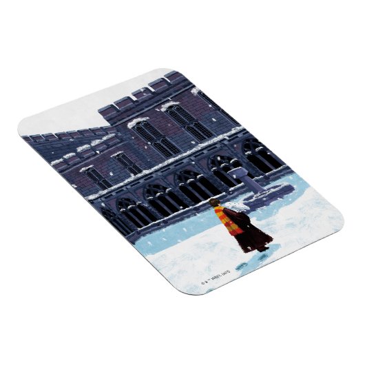 HOGWARTS™中庭のHARRY POTTER™ & Hedwig マグネット (右側)