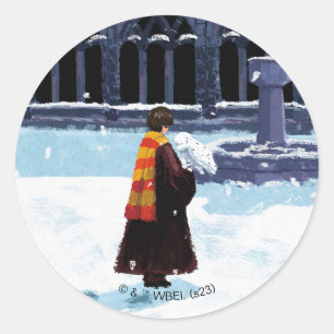 HOGWARTS™中庭のHARRY POTTER™ & Hedwig ラウンドシール