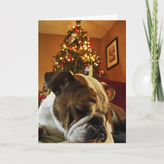 HoHoHoのマヤ シーズンカード (正面)