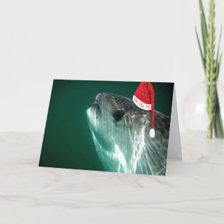 HoHoHo Whale Shark シーズンカード