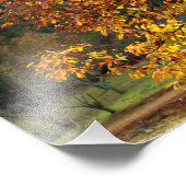 Hojas doradas del castaño en otoño en la sierra フォトプリント            (角)