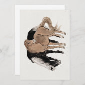 Hokusaiとその弟子たちによる馬のスケッチ集 招待状 (正面/裏面)