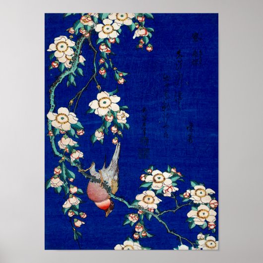 Hokusai Bullfinch on a Weeping Cherry Branch ポスター (正面)
