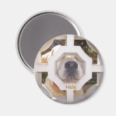 Hola マグネット (正面/裏面)