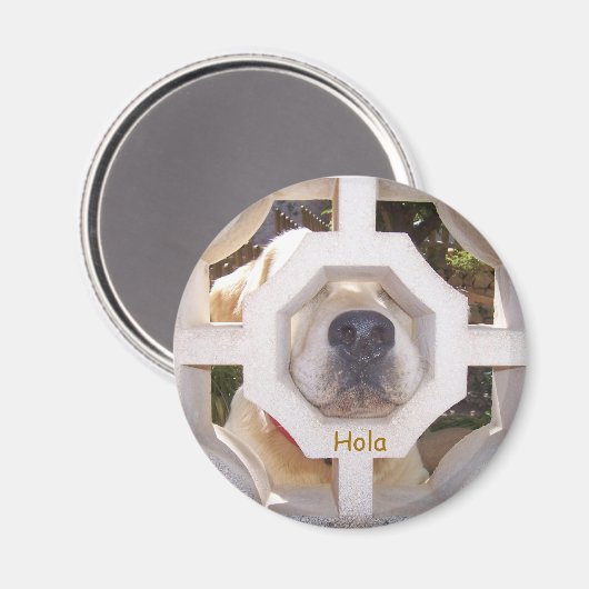 Hola マグネット (正面/裏面)