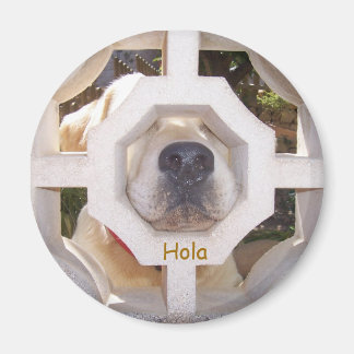 Hola マグネット