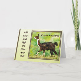 Hold Your Head High & Strut Your Stuff  カード