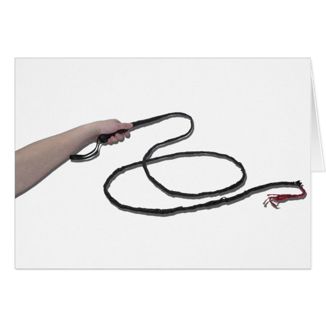 HoldingWhip103110 (正面横)