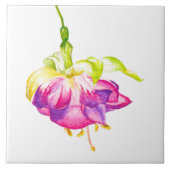 Holi on a Ceramic Tile (B) タイル (正面)