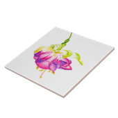 Holi on a Ceramic Tile (B) タイル (側面)