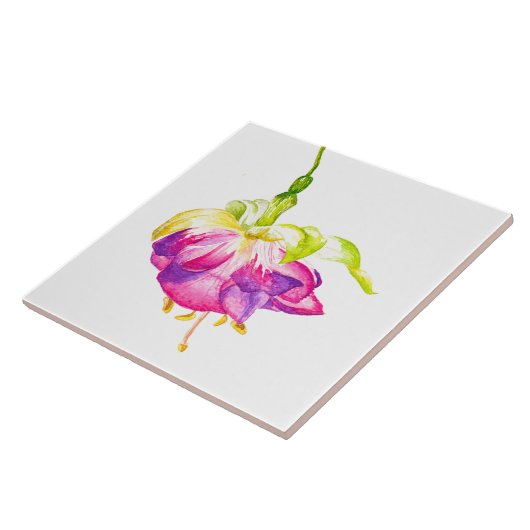 Holi on a Ceramic Tile (B) タイル (側面)