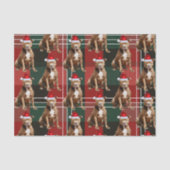 Holiday Brown Pitbull Dog Red Plaid Christmas 薄葉紙 (正面)