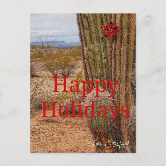 Holiday Cactus ポストカード (正面)