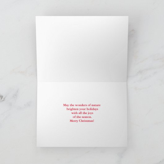 Holiday Chickadee Berry Branch Greeting Card 案内状 (内部)