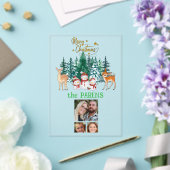 Holiday fun from family アクリル招待状 (インサイチュ (ウェディング))