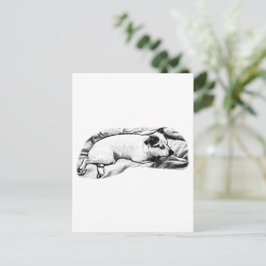 Holiday Hello from Blanket and Buddy ポストカード (スタンド正面)