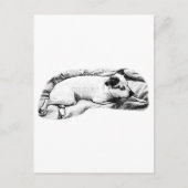 Holiday Hello from Blanket and Buddy ポストカード (正面)