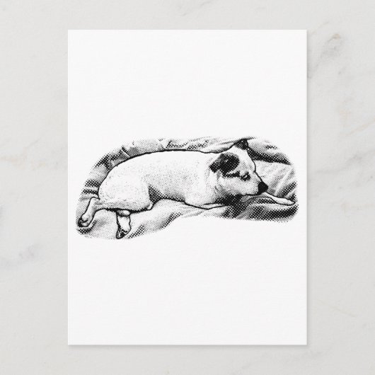 Holiday Hello from Blanket and Buddy ポストカード (正面)