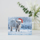 Holiday Highland Calf in the Snow Cute ポストカード (スタンド正面)