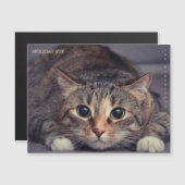 Holiday Joy Fun Magnetic Pet Photo Christmas (正面/裏面)