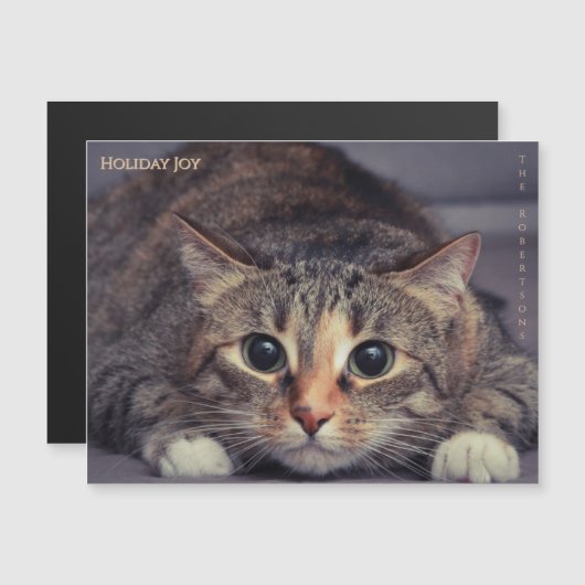 Holiday Joy Fun Magnetic Pet Photo Christmas (正面/裏面)