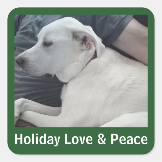Holiday Love and Peace Cute Dog Photo with Dad スクエアシール (正面)