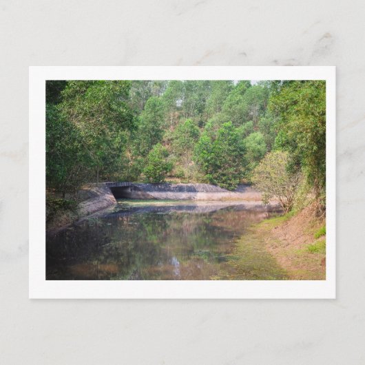 Holiday Postcard シーズンポストカード (正面)