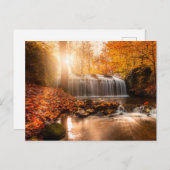 Holiday Postcard シーズンポストカード (正面/裏面)