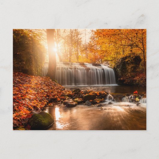 Holiday Postcard シーズンポストカード (正面)