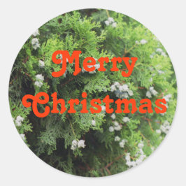 Holiday tree ラウンドシール