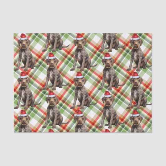 Holiday Wirehaired Pointer Dog Red Plaid Christmas 薄葉紙 (正面)