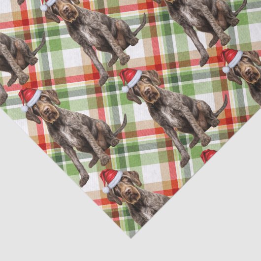 Holiday Wirehaired Pointer Dog Red Plaid Christmas 薄葉紙 (詳細)