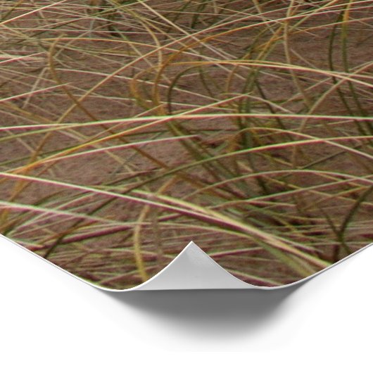 Holkham Beach Sand Dunes, Norfolk Coast ポスター (角)