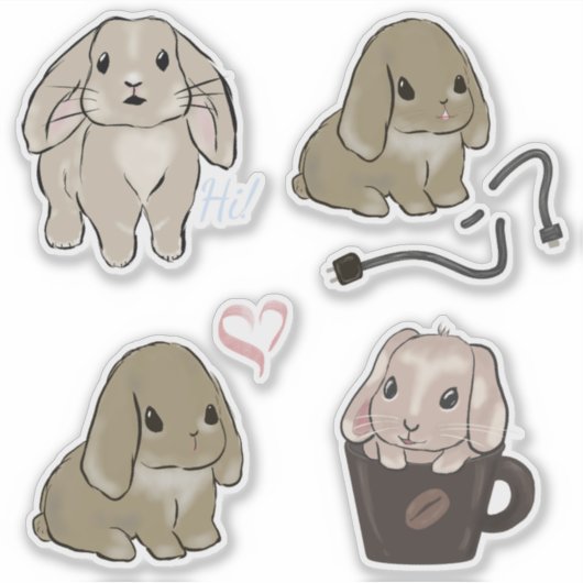 Holland lop Sammlung  シール (正面)
