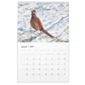 Hollandse vogels Kalender aan te passen カレンダー (1月 2027)