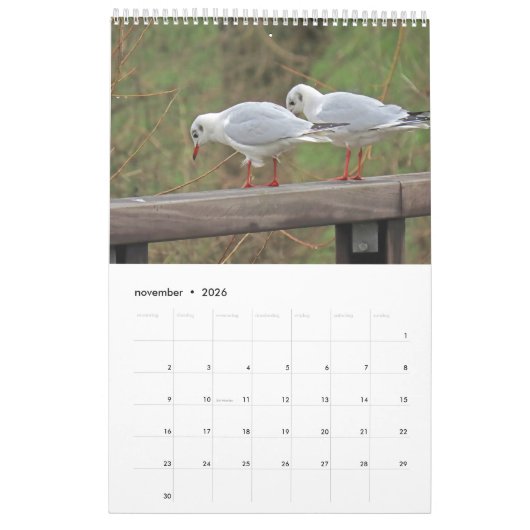 Hollandse vogels Kalender aan te passen カレンダー (11月 2026)
