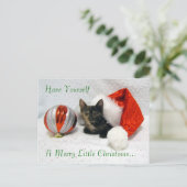 Holleyのクリスマスポストカード – Cat / Kitten シーズンポストカード (スタンド正面)