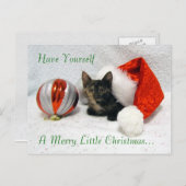 Holleyのクリスマスポストカード – Cat / Kitten シーズンポストカード (正面/裏面)